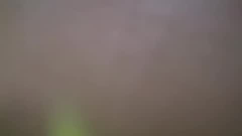 Snapshot of haydarcum chatting on 14, 2, 2025 ZhongLi online show from 14, 2, 2025