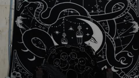 Hayle Woods online show from 4, 12, 2024