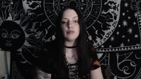 Hayle Woods online show from 6, 12, 2024