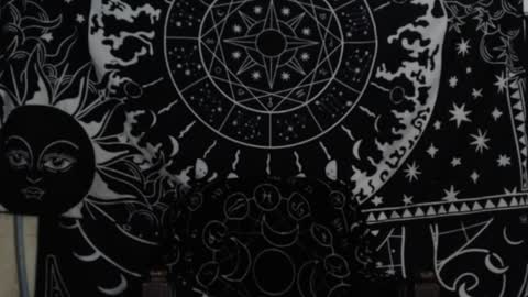 Hayle Woods online show from 7, 12, 2024