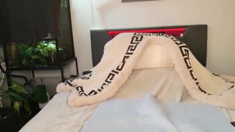 Hazeleo online show from 29, 3, 2026