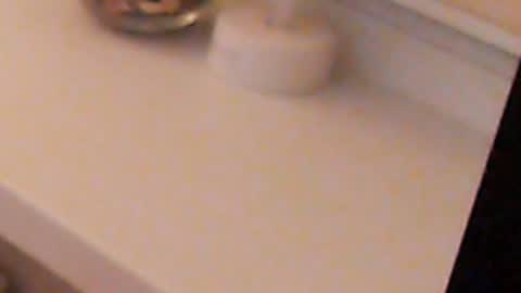 Heaven girl online show from 5, 12, 2024