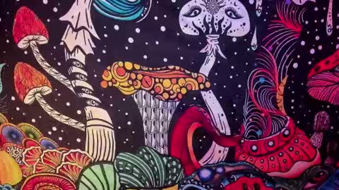 Snapshot of hecate_and_crow chatting on 26, 2, 2025 online show from 26, 2, 2025