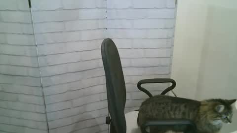 Snapshot of helen_xi chatting on 13, 1, 2026 Helen online show from 13, 1, 2026