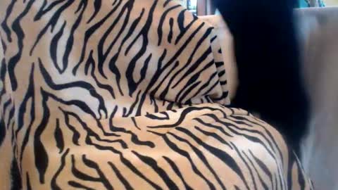 Helvell online show from 13, 2, 2026