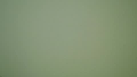 Snapshot of herbstenden chatting on 30, 12, 2024 John Pearl online show from 30, 12, 2024