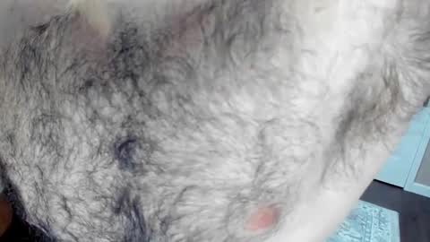 Wade Biggs online show from 25, 1, 2025