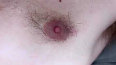 Arnold online show from 13, 12, 2024