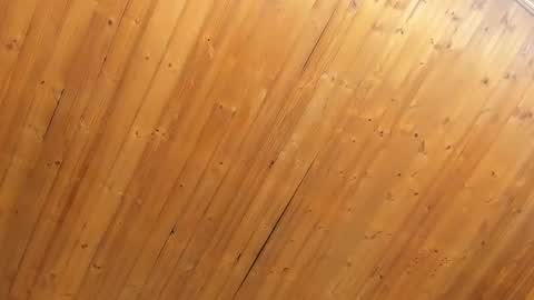 Noraly  online show from 4, 2, 2025