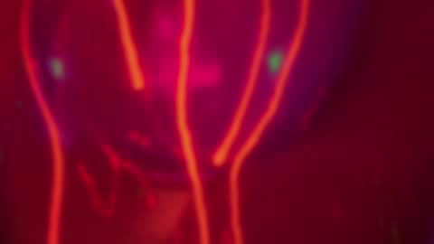 Snapshot of heybanan chatting on 14, 12, 2024 Alina online show from 14, 12, 2024