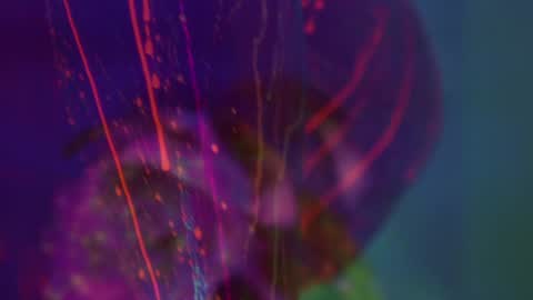 Snapshot of heybanan chatting on 8, 9, 2025 Alina online show from 8, 9, 2025