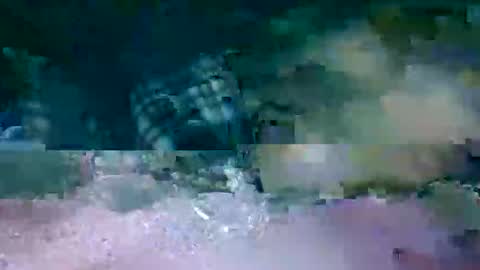 MR. Bation online show from 17, 2, 2026