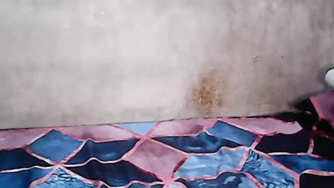 hillaryjade online show from 9, 3, 2025