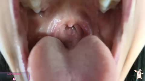 hinata online show from 24, 4, 2026