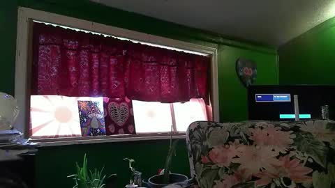 hippiedad333 online show from 18, 4, 2026