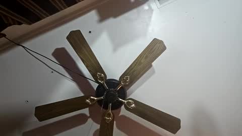 Snapshot of hoglegg99384194 chatting on 13, 1, 2025 hoglegg99384194 online show from 13, 1, 2025