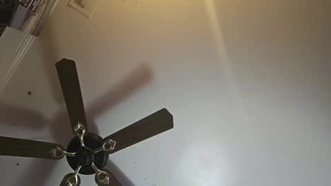 Snapshot of hoglegg99384194 chatting on 2, 11, 2025 hoglegg99384194 online show from 2, 11, 2025