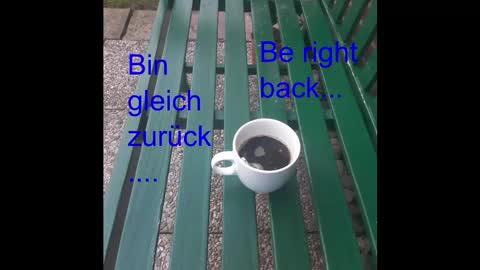 Holger online show from 29, 9, 2025