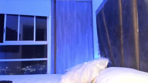 Mara online show from 11, 2, 2025