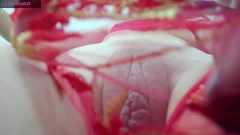 Sophie online show from 19, 12, 2024