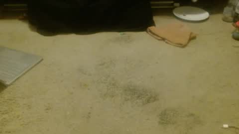 Holly Hawkes online show from 17, 4, 2026