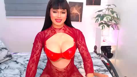 hollywoodstareme online show from 6, 8, 2026