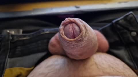 Homer Jay Simpson online show from 21, 1, 2025