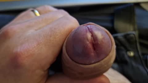 Homer Jay Simpson online show from 6, 3, 2025