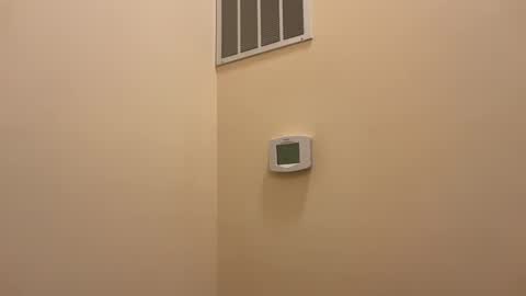 honey_man14 online show from 19, 2, 2025