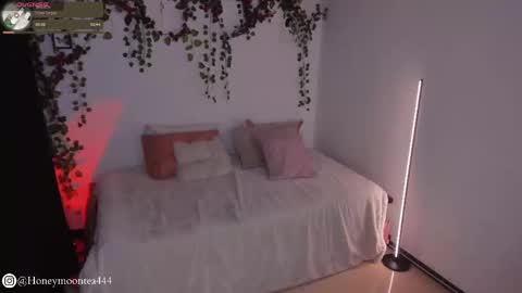       online show from 24, 2, 2025