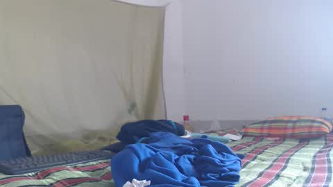 horhoar online show from 27, 11, 2025