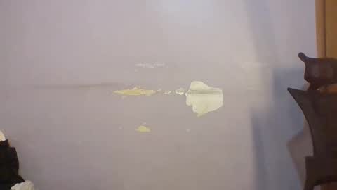 phanice online show from 22, 4, 2026