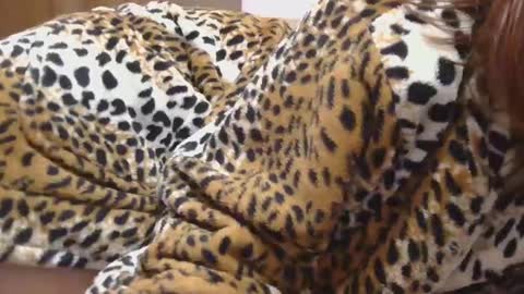 Serena online show from 22, 2, 2025