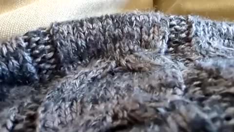 Tiny cock online show from 2, 3, 2025