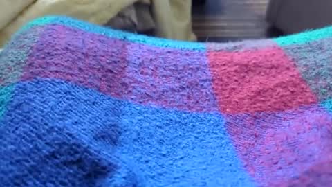 Tiny cock online show from 11, 1, 2026