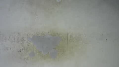 Bella online show from 27, 2, 2026