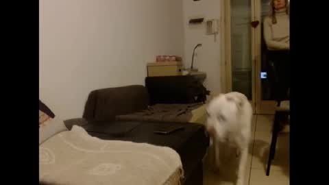 Snapshot of hornyssima chatting on 12, 1, 2025 Hornyssima online show from 12, 1, 2025