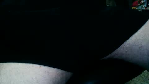 horsesaslife online show from 9, 10, 2025