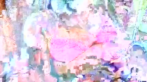 hot_baby_priya online show from 12, 10, 2025