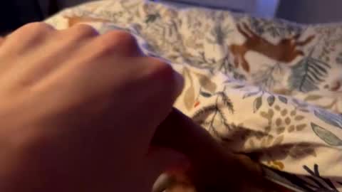 hot_for_you_ online show from 26, 2, 2026