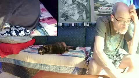hot_krispy_kreme online show from 2, 5, 2026