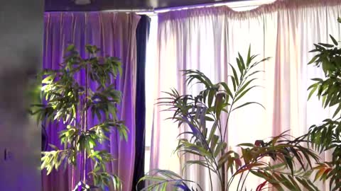 Snapshot of hotbustybabex chatting on 21, 9, 2025 Anais online show from 21, 9, 2025