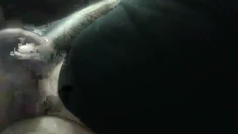 Snapshot of hotcream259 chatting on 9, 1, 2025 hotcream259 online show from 9, 1, 2025