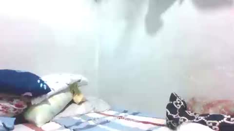 hotlavender online show from 27, 1, 2025