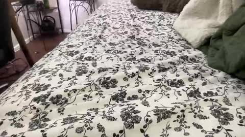 Snapshot of hotmama6666 chatting on 4, 2, 2026 Annabelle online show from 4, 2, 2026