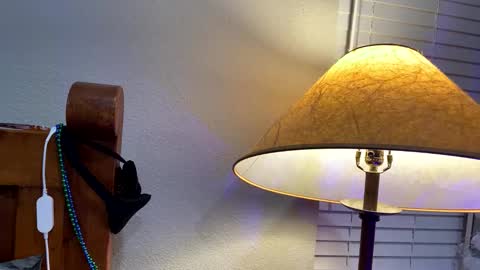 hottiewithabody101 online show from 17, 1, 2026