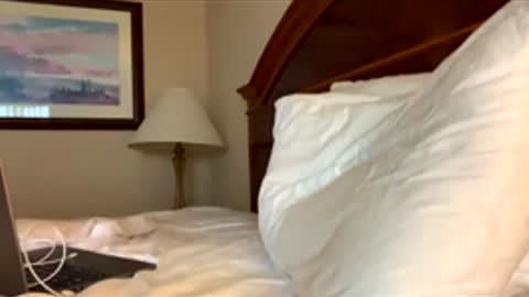 hottiewithabody101 online show from 25, 4, 2026