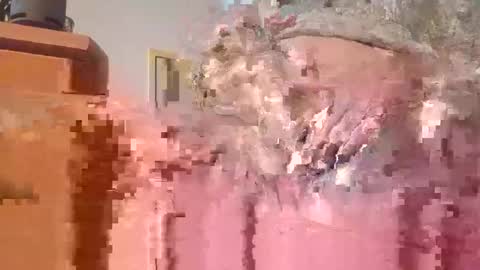 Snapshot of hottinrh2 chatting on 3, 5, 2026 hottinrh2 online show from 3, 5, 2026