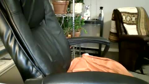 Hottop 1981 online show from 4, 3, 2025