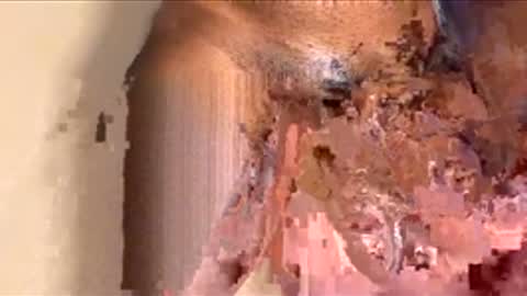 Snapshot of houseesposo chatting on 24, 11, 2025 houseesposo online show from 24, 11, 2025